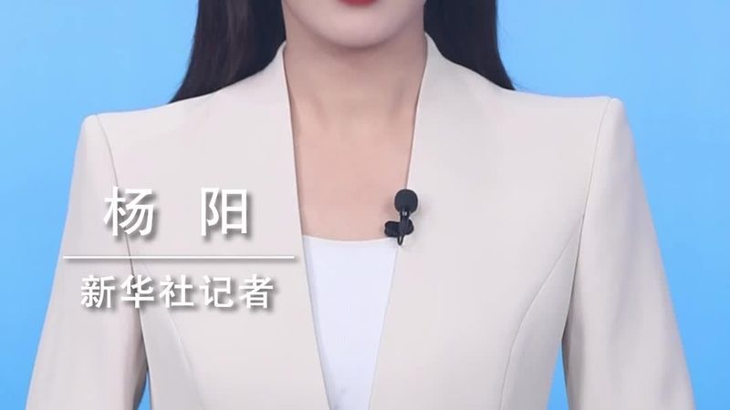 Nginx API网关：安全性配置要点解析