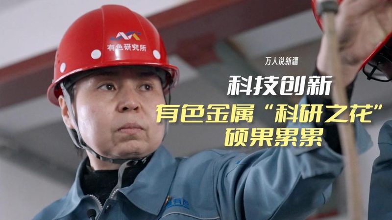 企业数字化咨询公司代理费用